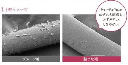 守り髪について